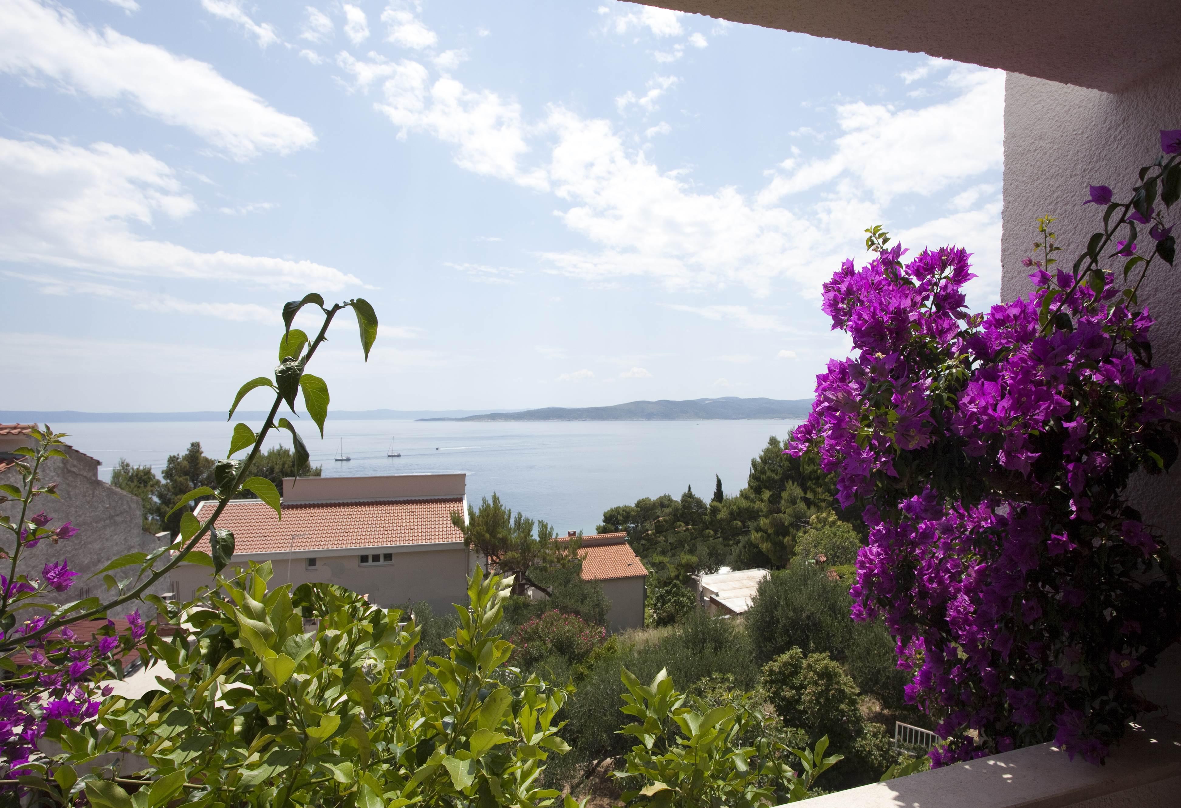 Villa Skalinada Baška Voda Esterno foto